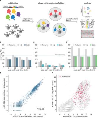 Frontiers | Efficient Isolation Of Rare B Cells Using Next-generation ...